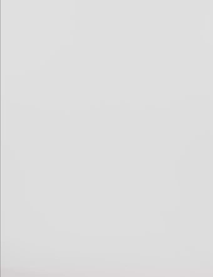 Charger la vidéo : Sac épaule Tabby 26